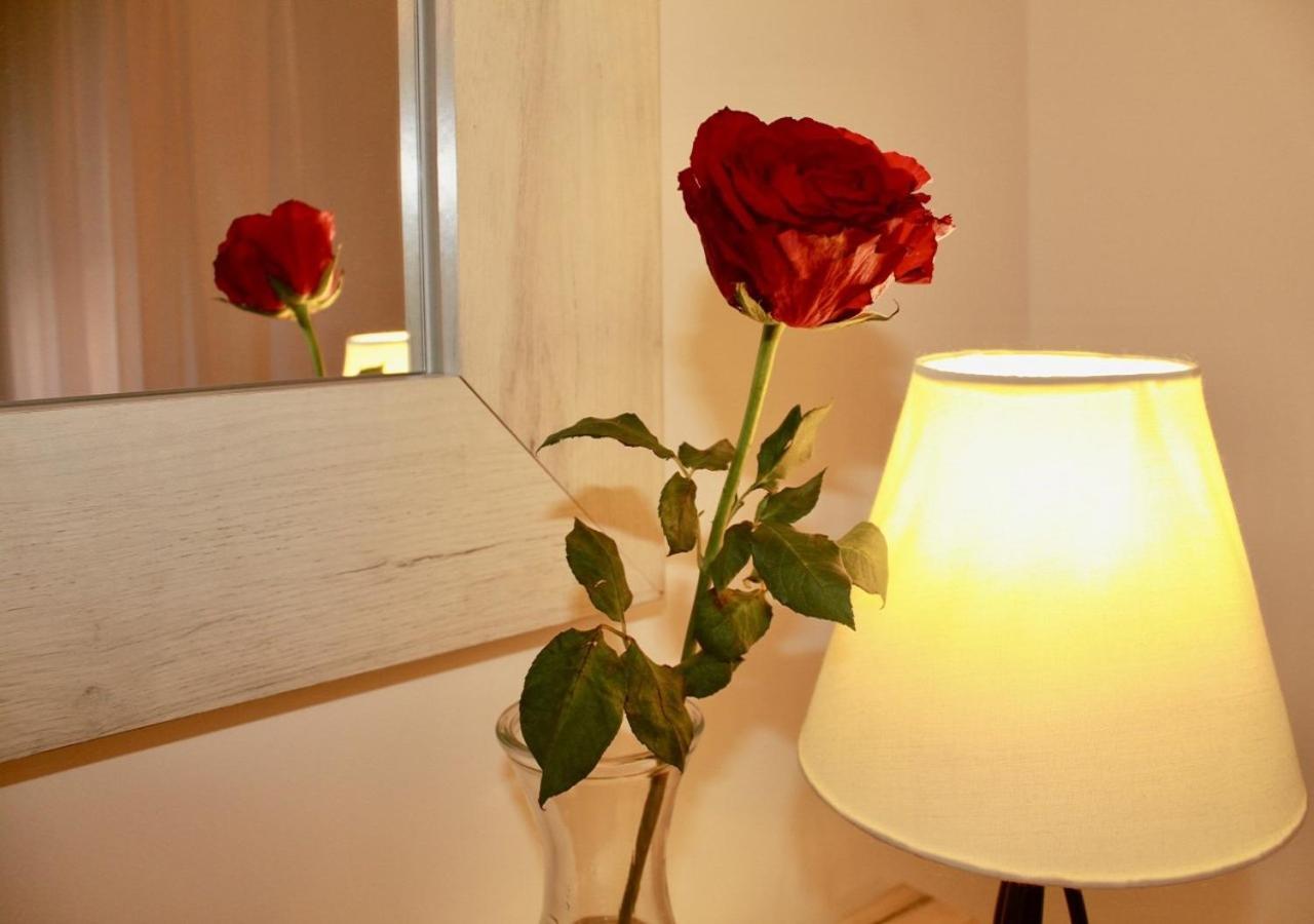 Apartment Queen Belgrade Luaran gambar