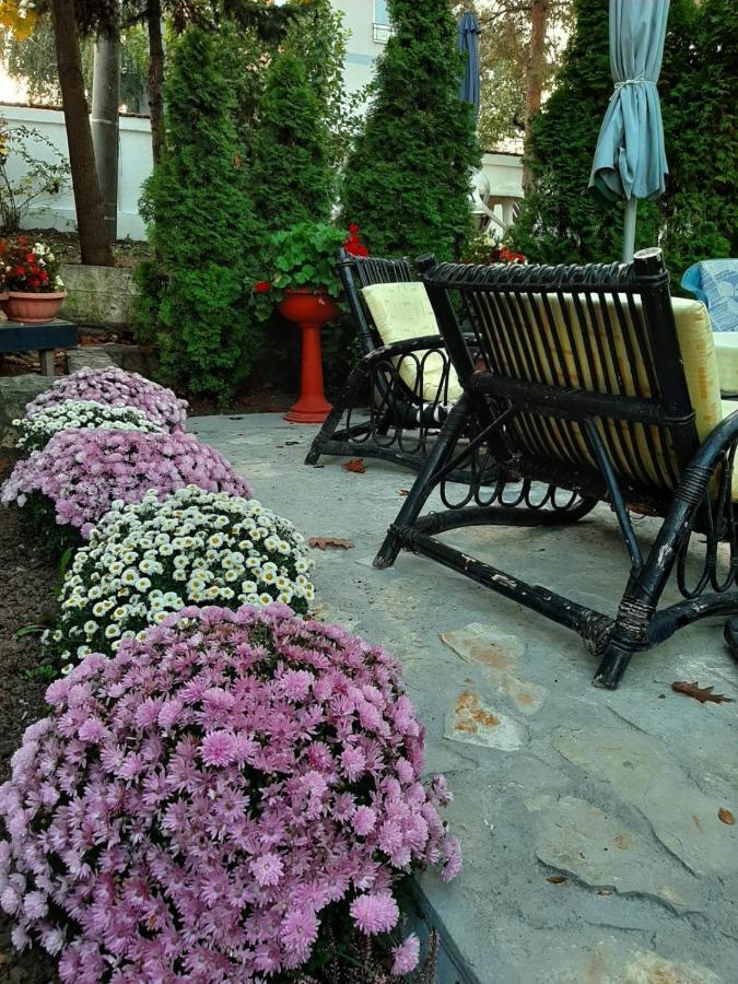 Apartment Queen Belgrade Luaran gambar